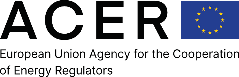 The image shows the logo of ACER