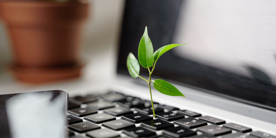 The image shows an opened laptop out of which a plant is growing.