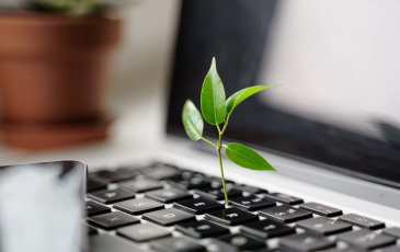 The image shows an opened laptop out of which a plant is growing.