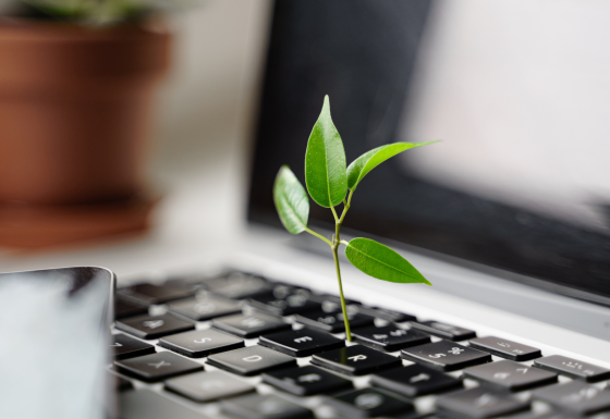 The image shows an opened laptop out of which a plant is growing.